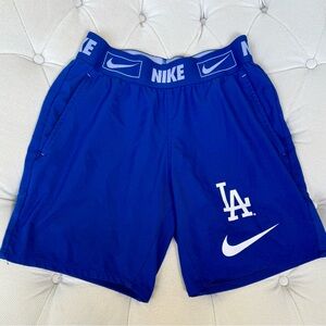 Boys Nike Royal Blue LA Logo Shorts
